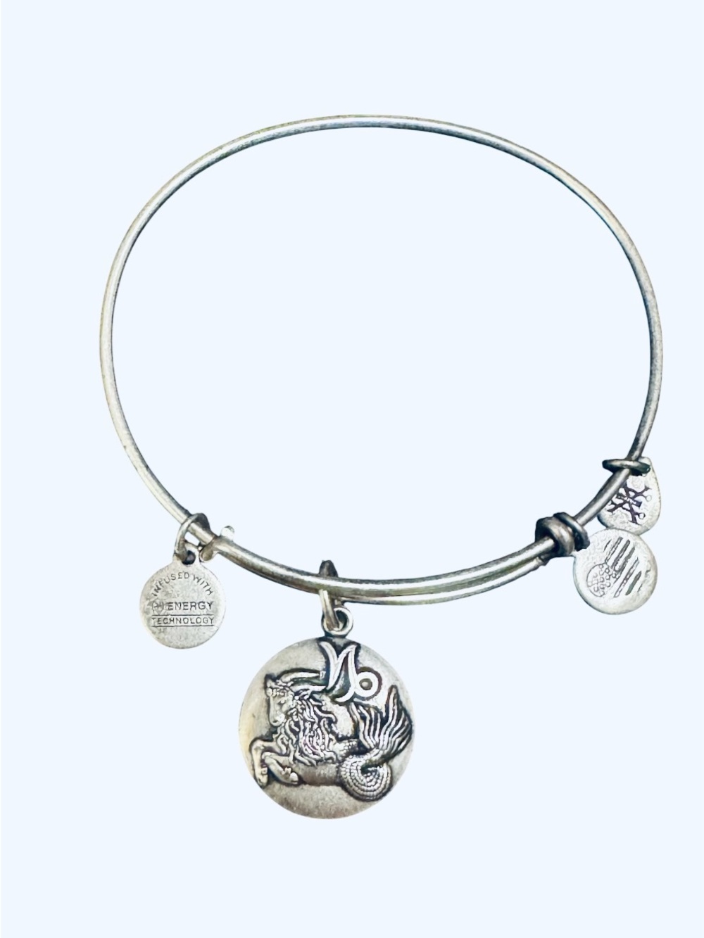 Alex and Ani Capricorn Zodiac Sign Expandable Wire Bangle Bracelet